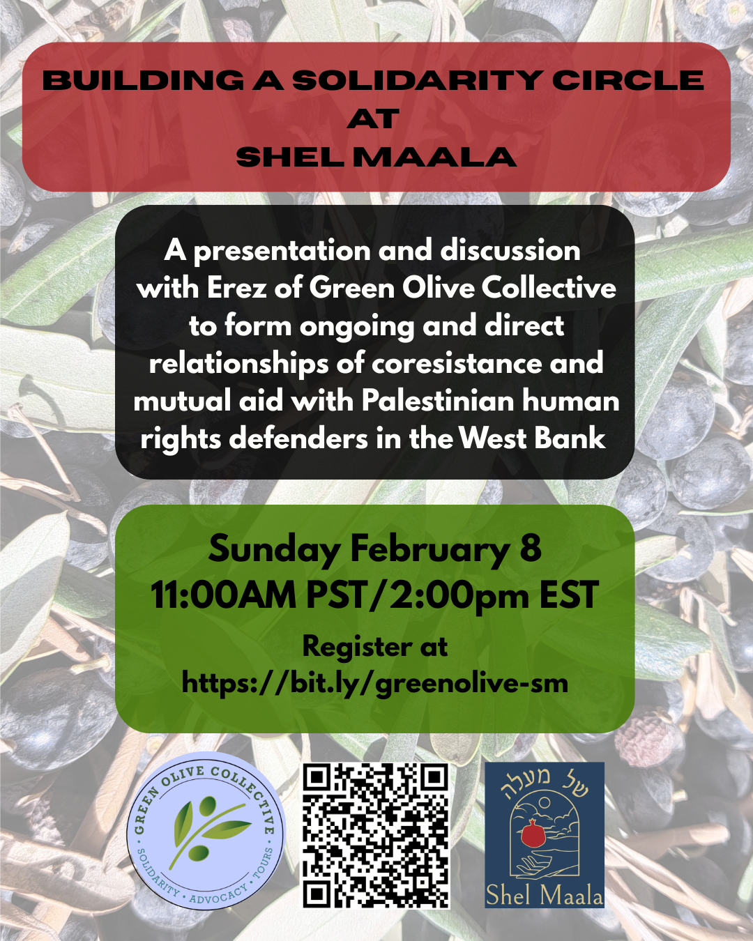  ID: An image of olives and leaves. On top of the image are three rounded-corner square blocks from top to bottom. The top one has the text "Building Solidarity Circles: Supporting Palestinian Resistance & Resilience". The middle one has the text "A presentation and discussion with Erez of Green Olive Collective on how to form ongoing and direct relationships of coresistance and mutual aid with Palestinian human rights defenders in the West Bank". The bottom square has the text "Sunday February 8, 11:00AM PST / 2:00pm EST, Register at https://bit.ly/greenolive-sm". At the very bottom of the image is a row of small graphics. On the left, the Green Olive Collective logo, a circle with "Green Olive Collective" along the top curve, an olive branch in the middle, and the words "Solidarity, Advocacy, Tours" along the bottom curve. To the right of the logo is a QR code. To the right of the QR code is the Shel Maala logo.